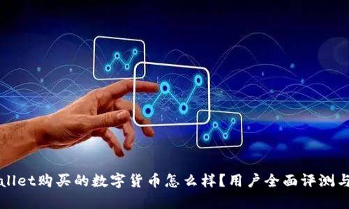 TPWallet购买的数字货币怎么样？用户全面评测与分析